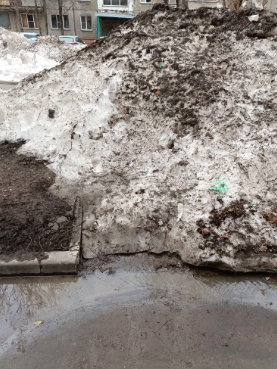 Фото Новосибирцы массово делятся фото грязного города. ОНЛАЙН 8